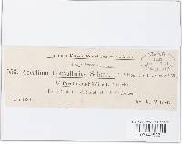 Image Associated With the Occurrence