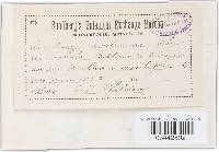 Image Associated With the Occurrence