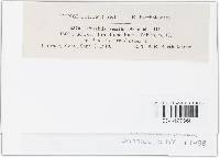 Image Associated With the Occurrence