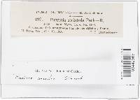 Image Associated With the Occurrence