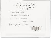 Image Associated With the Occurrence