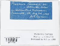 Image Associated With the Occurrence