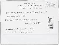 Image Associated With the Occurrence