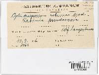 Thumbnail image of current specimen