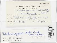 Image Associated With the Occurrence