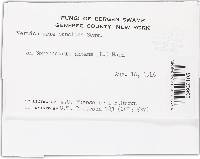 Image Associated With the Occurrence