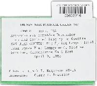 Image Associated With the Occurrence