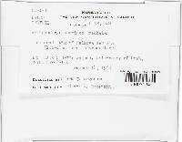 Image Associated With the Occurrence