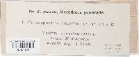 Thumbnail image of current specimen