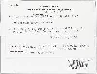 Image Associated With the Occurrence