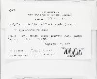 Image Associated With the Occurrence