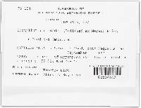 Image Associated With the Occurrence