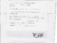 Image Associated With the Occurrence