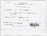 Image Associated With the Occurrence