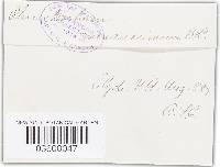 Image Associated With the Occurrence