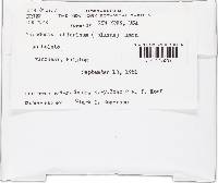 Image Associated With the Occurrence