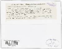 Media resource of Trichothecium albidoroseum