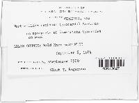 Image Associated With the Occurrence