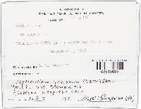 Image Associated With the Occurrence