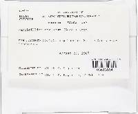 Image Associated With the Occurrence