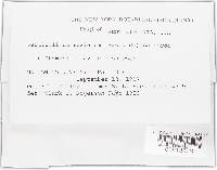 Image Associated With the Occurrence