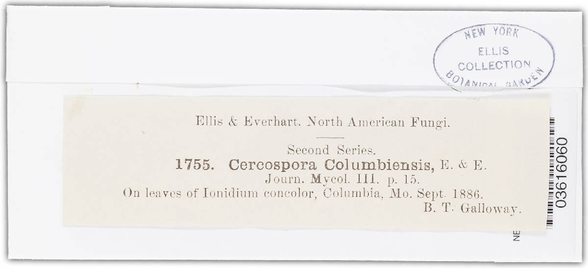 Cercospora columbiensis image