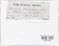 Image Associated With the Occurrence