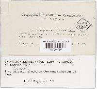 Image Associated With the Occurrence