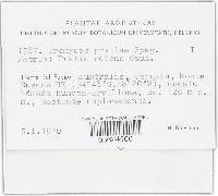 Image Associated With the Occurrence