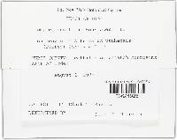 Image Associated With the Occurrence