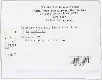 Image Associated With the Occurrence