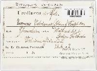 Image Associated With the Occurrence