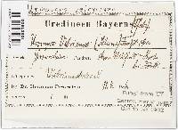 Image Associated With the Occurrence