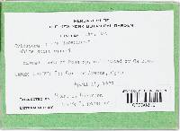 Image Associated With the Occurrence