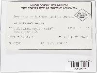 Image Associated With the Occurrence