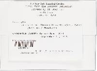 Image Associated With the Occurrence