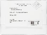 Image Associated With the Occurrence