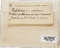 Image Associated With the Occurrence