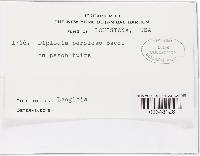 Image Associated With the Occurrence