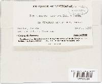 Image Associated With the Occurrence