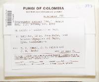 Image Associated With the Occurrence