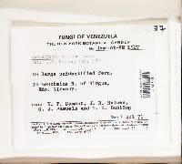 Image Associated With the Occurrence