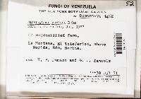 Image Associated With the Occurrence