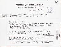 Image Associated With the Occurrence