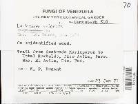 Image Associated With the Occurrence