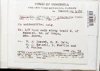 Image Associated With the Occurrence