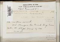 Image Associated With the Occurrence