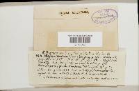 Image Associated With the Occurrence