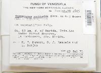 Image Associated With the Occurrence