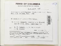 Image Associated With the Occurrence